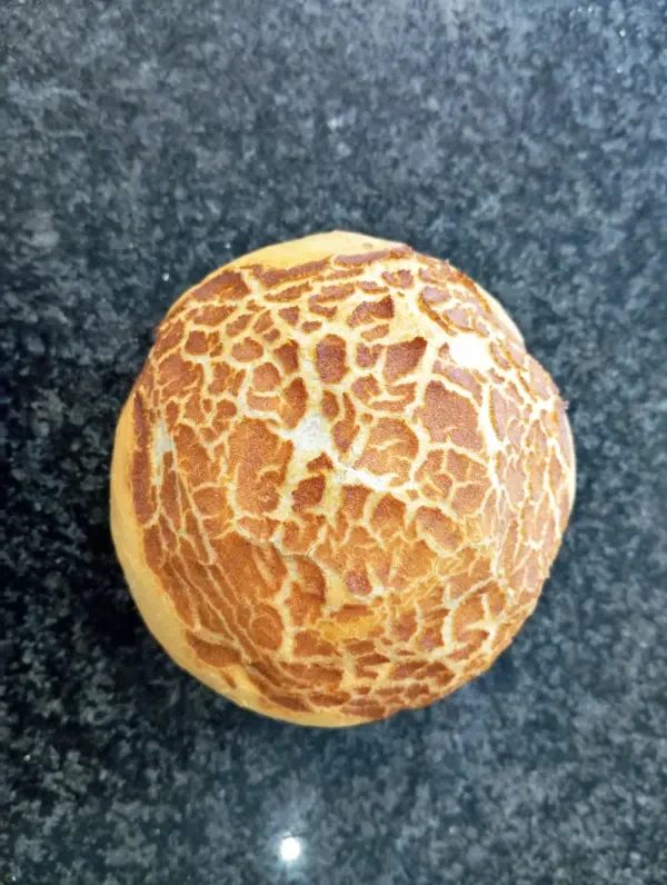 Krokant Tijger